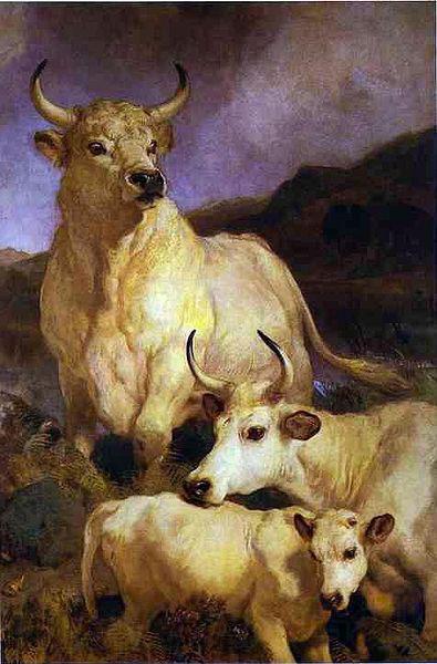 Sir edwin henry landseer,R.A. The wild cattle of Chillingham, 1867 Germany oil painting art
